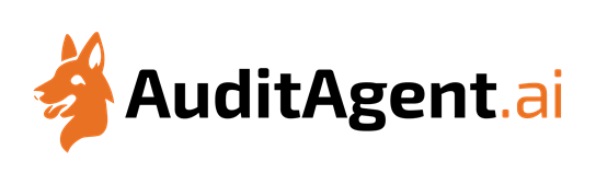 AuditAgent.ai